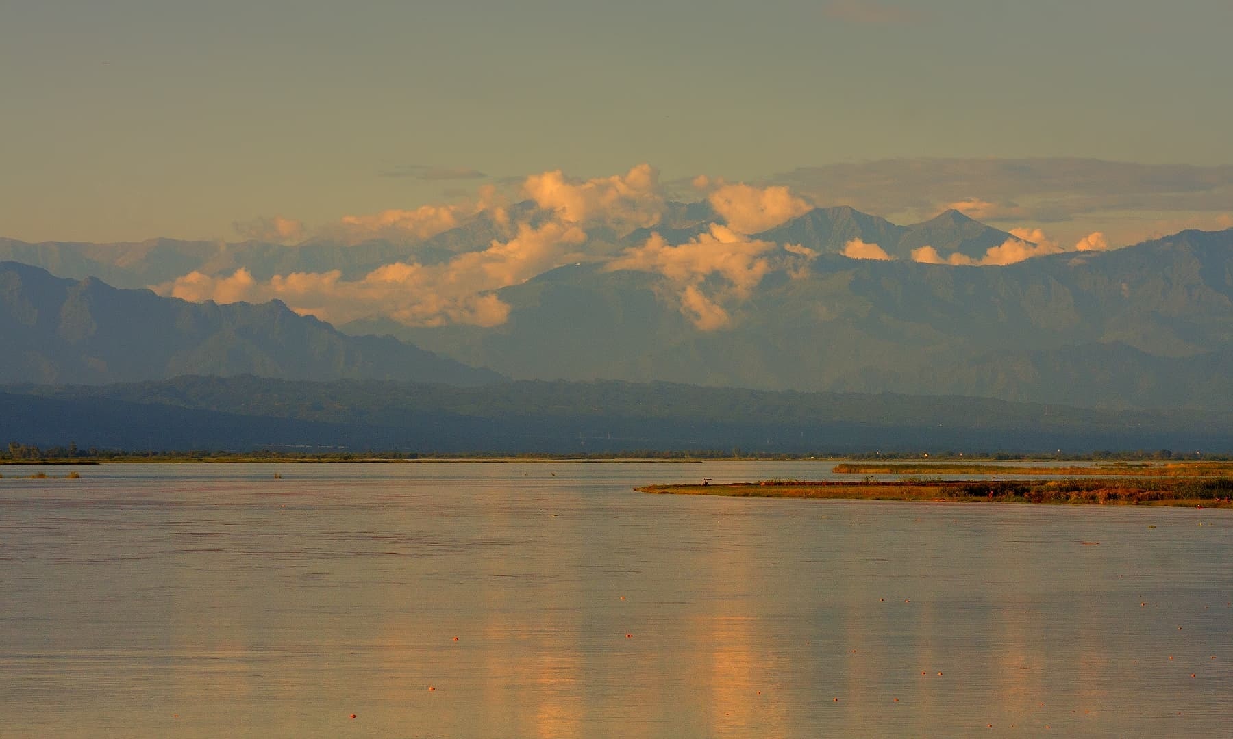 56488430662a4 (1).jpg